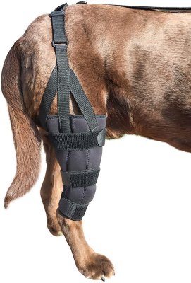 Dog Canine K9 Knee Stifle Brace Wrap